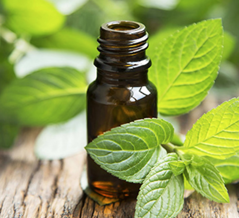 Peppermint Essential Oil 5ml